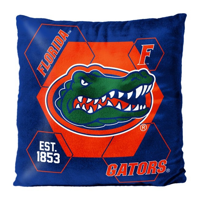 Florida Connector Velvet Reverse Pillow, MULTI, hi-res image number 0