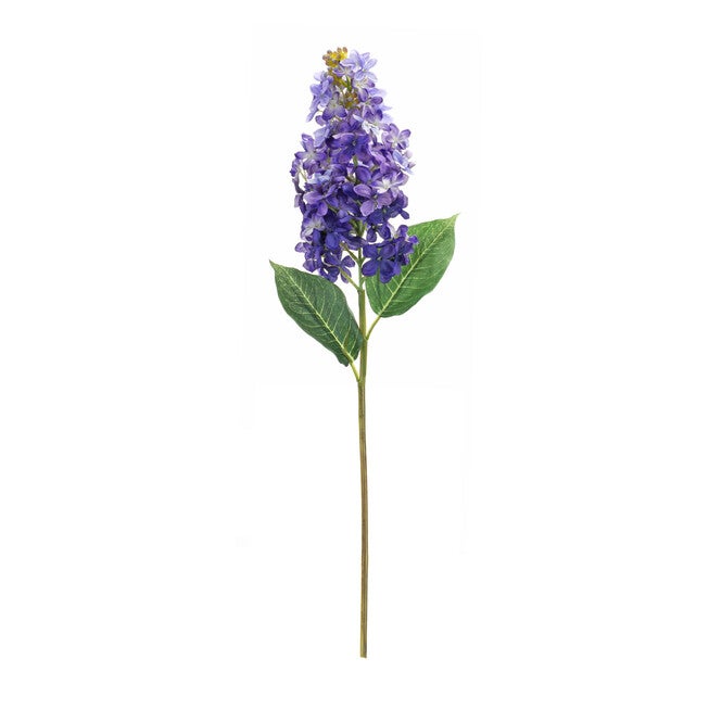 Varigated Purple Lilac Flower Stem (Set Of 6), , on-hover image number 1