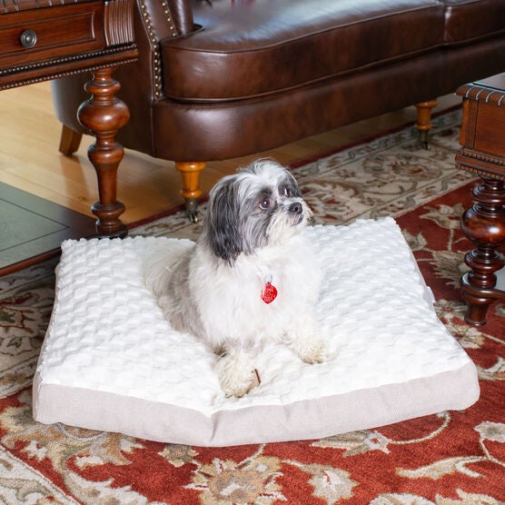 Dog Crate Mat With Carry Handle, , on-hover image number null