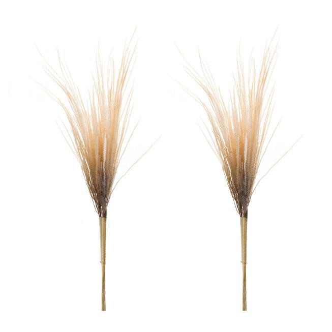 Plume Bundle (Set of 2) 41 inchesH Polyester, BROWN, alternate image number 2