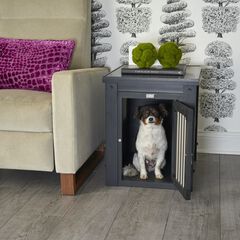 InnPlace™ Pet Crate & End Table, Medium