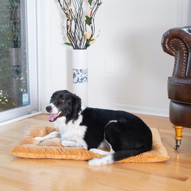 Pet Bed Mat, Dog Crate Soft Pad With Poly Fill Cushion, Large Earth Brown, BROWN, hi-res image number 0