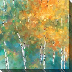 Obscure Forest #2 Wall Art