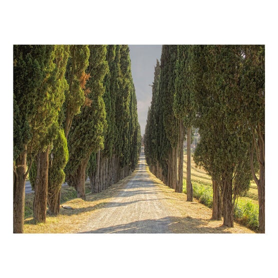 All Weather All Season Outdoor Canvas Art, MULTI, hi-res image number null