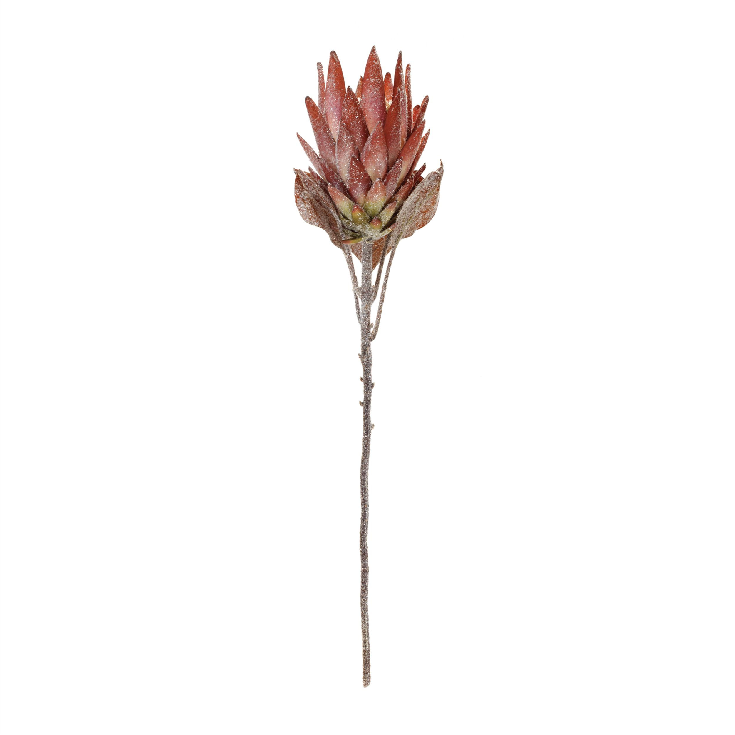 Orange Protea Flower Stem (Set of 2), ORANGE GREEN, alternate image number 1