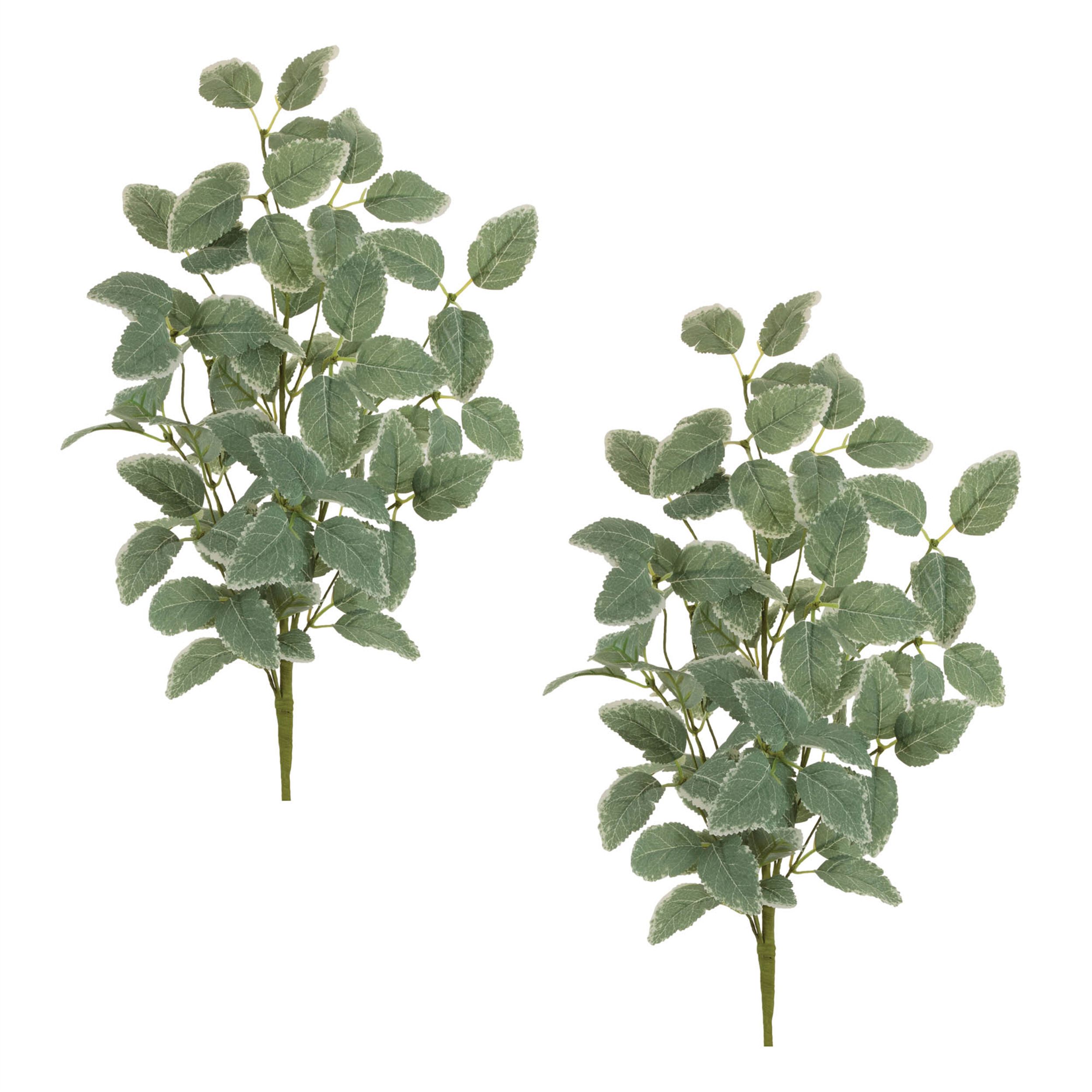 Variegated Foliage Spray Set of 2, GREEN, alternate image number 2