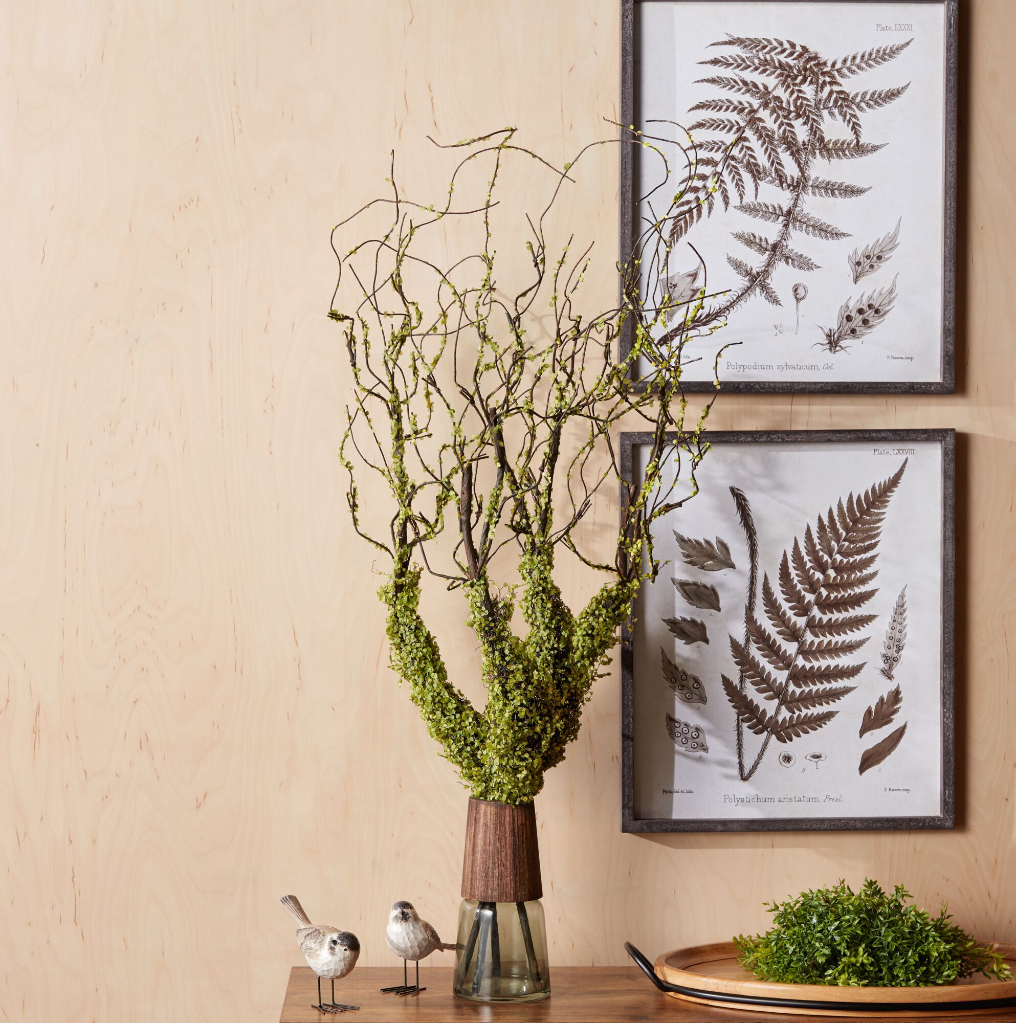 Moss Foliage Vine Branch (Set of 2), GREEN/BROWN, alternate image number 1