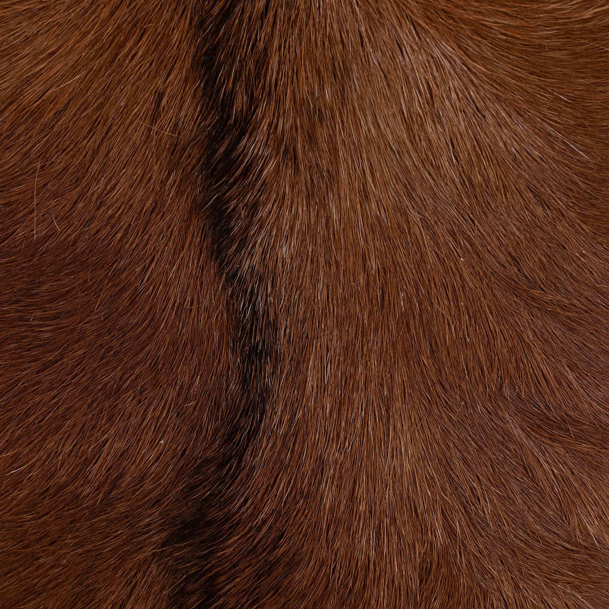 Rivera Genuine Goat Leather Counter Stool, BROWN, alternate image number 5