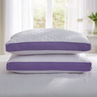 Back Sleeper Gusseted Density 2-Pack Pillows, WHITE LILAC, hi-res image number null