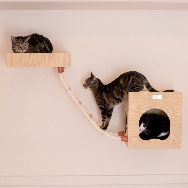 Real Wood Wall Series: Cat Tree With Condo, Perch And Soft Perch, , on-hover image number 1