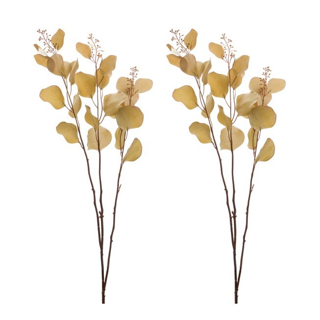 Seeded Eucalyptus Stem (Set of 6), BROWN, alternate image number null