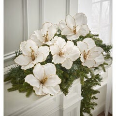 Amaryllis Clips, Set of 6