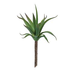 Succulent Plant Pick Set of 6