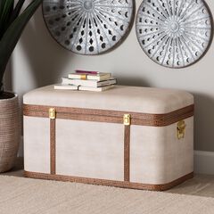 Brenner Modern Transitional Beige Faux Shagreen Storage Trunk
