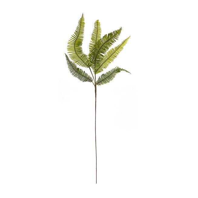 Varigated Fern Foliage Spray (Set Of 6), , on-hover image number null