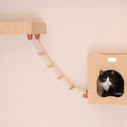 Real Wood Wall Series: Cat Soft Ladder, , alternate image number null