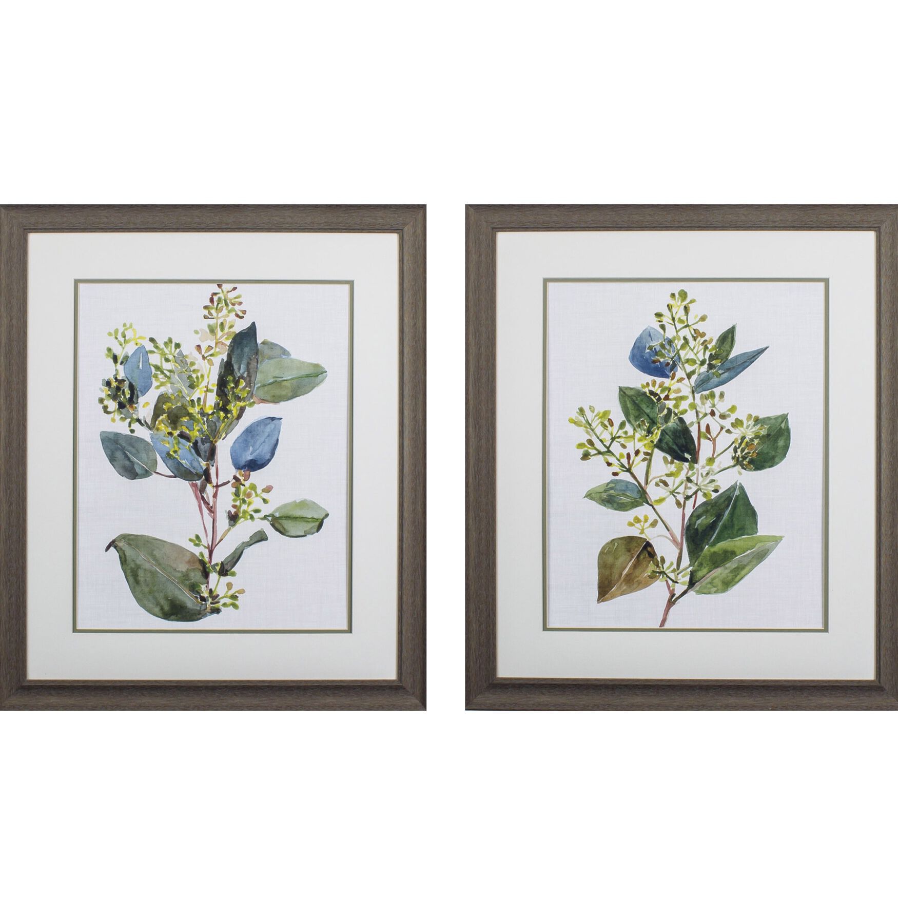 Seeded Eucalyptus Framed Wall D&eacute;cor, Set Of 2, GREEN, hi-res image number 0