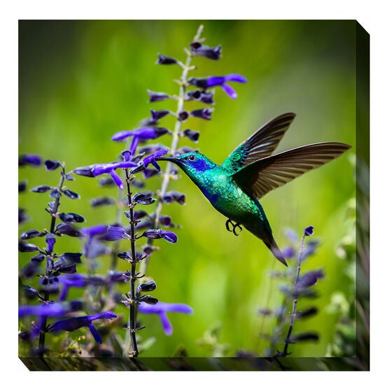 All Weather All Season Outdoor Canvas Art, MULTI, hi-res image number null