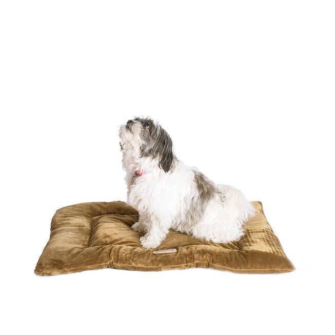 Pet Bed Mat, Dog Crate Soft Pad With Poly Fill Cushion, Medium Sage Green, GREEN, hi-res image number 0
