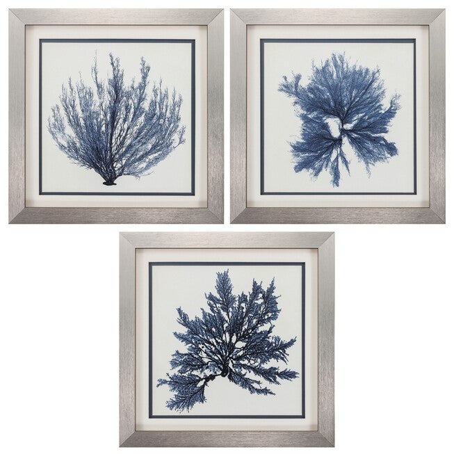 Coastal Seaweed Framed Wall Décor, Set Of 3, BLUE, hi-res image number null