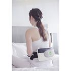 Penguin Massage Belt With Adaptor, , on-hover image number null