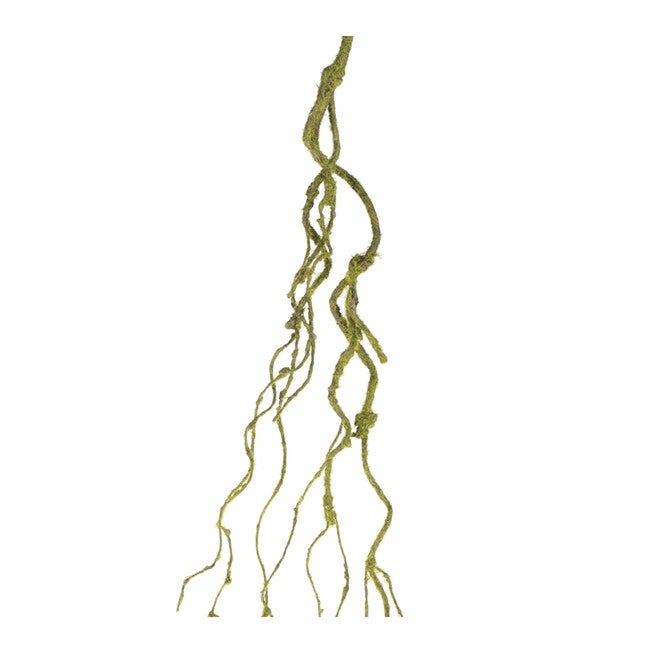 Mossy Twig Vine (Set of 6), GREEN, hi-res image number null