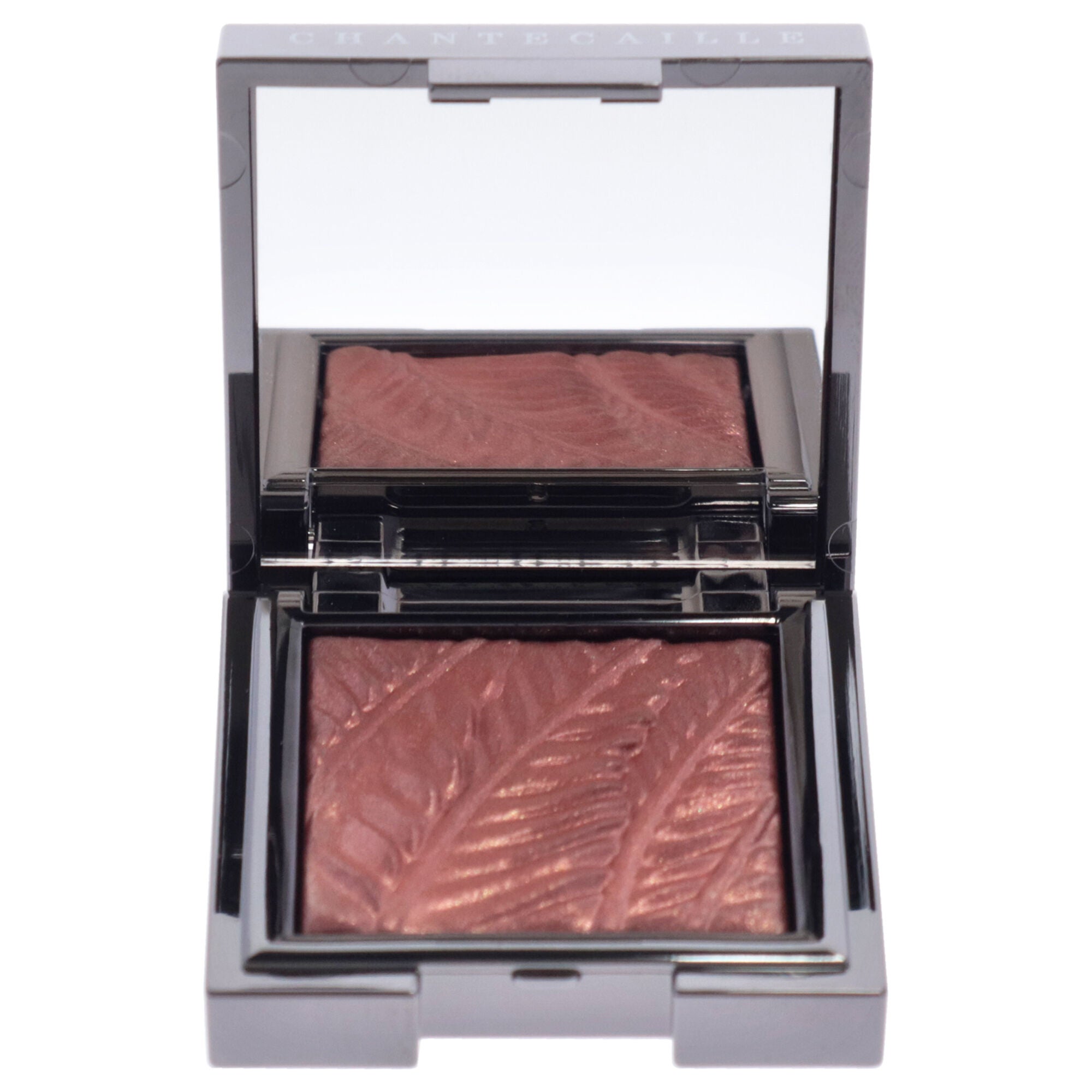 Luminescent Eye Shade - Giraffe by Chantecaille for Women - 0.08 oz Eye Shadow, Brown, alternate image number 1