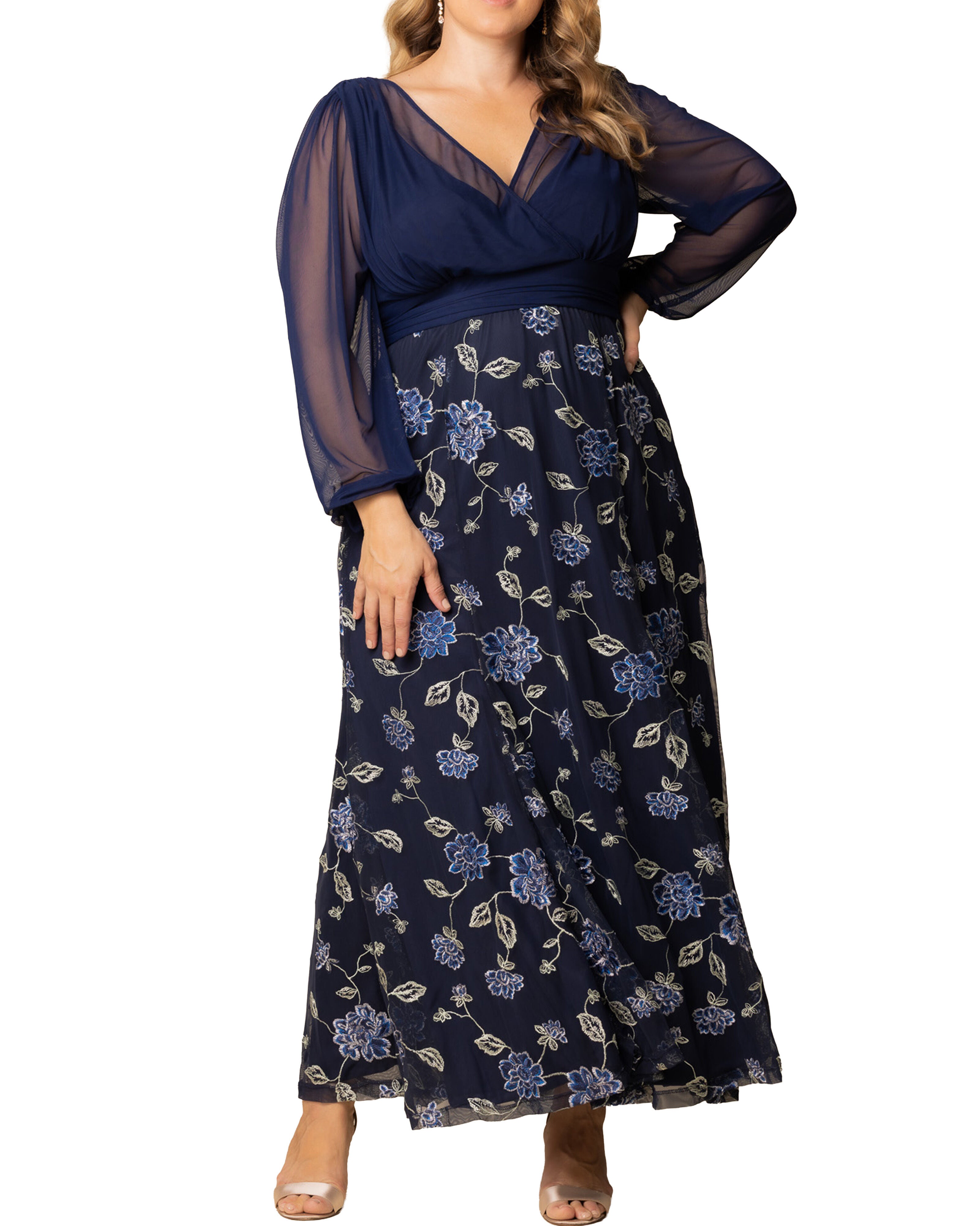Isabella Embroidered Mesh Gown, NAVY BLUE BLOOMS / Navy, hi-res image number 0