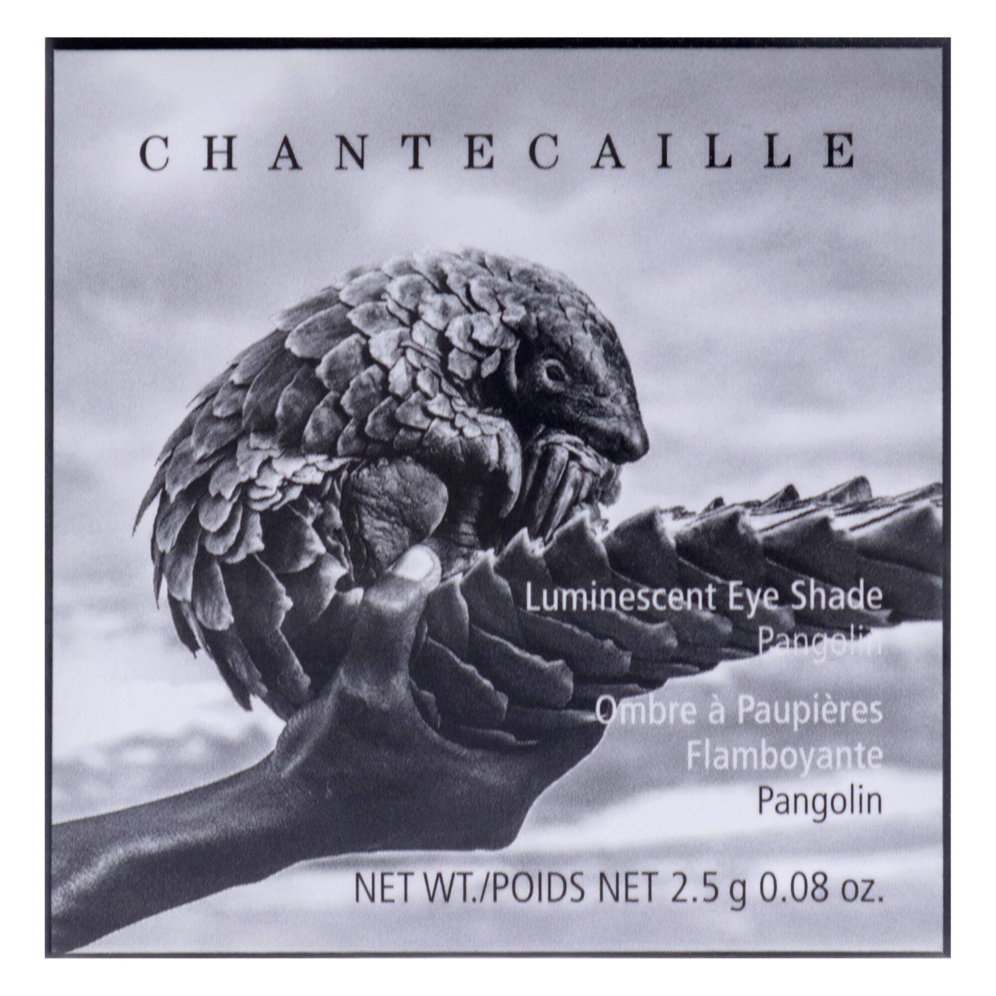 Luminescent Eye Shade - Pangolin by Chantecaille for Women - 0.08 oz Eye Shadow, Brown, alternate image number 4