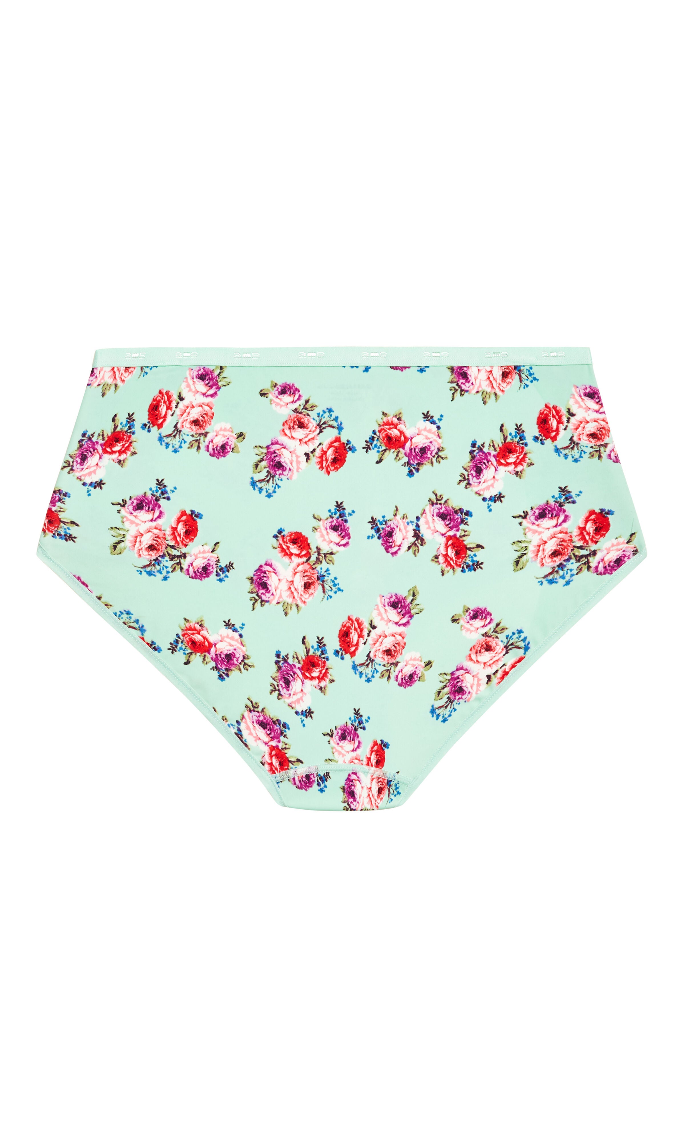 Fashion Microfiber Full Brief - mint floral, , alternate image number 3
