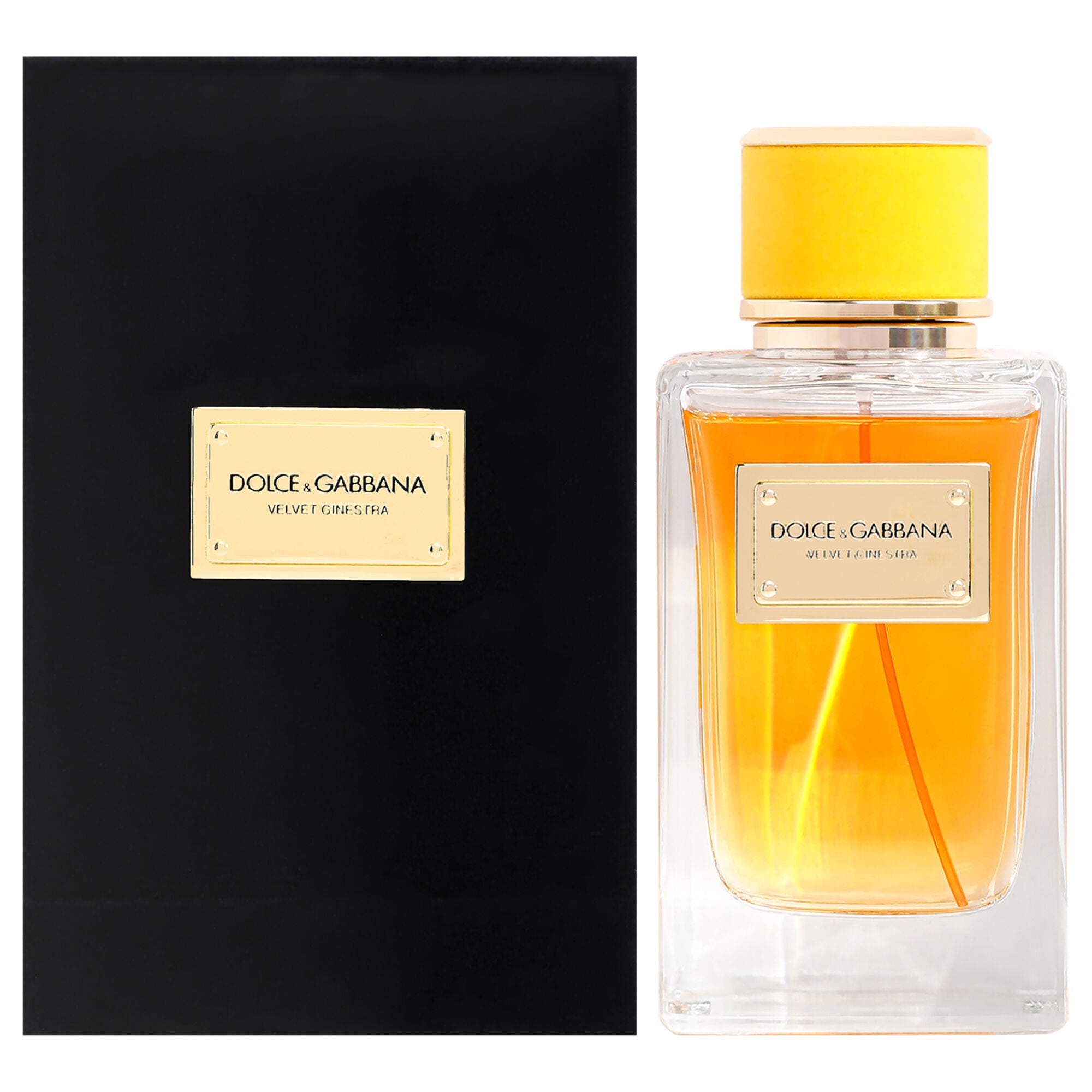 Velvet Ginestra by Dolce and Gabbana for Women - 5 oz EDP Spray, See Description, alternate image number 4