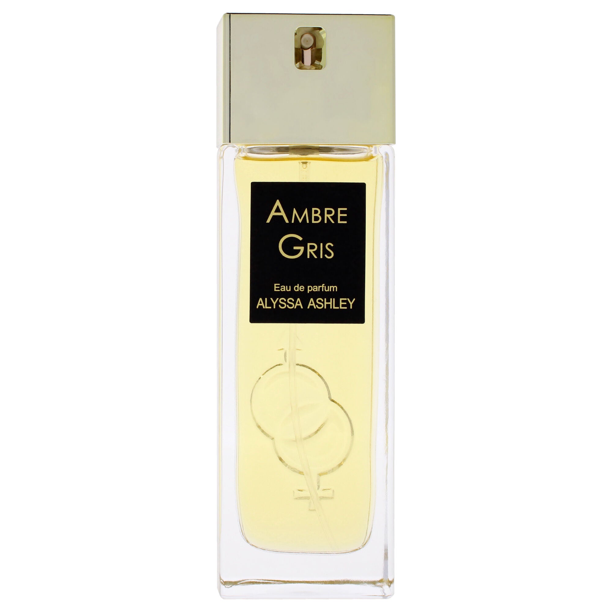 Ambre Gris by Alyssa Ashley for Women - 1.7 oz EDP Spray, See Description, alternate image number 3