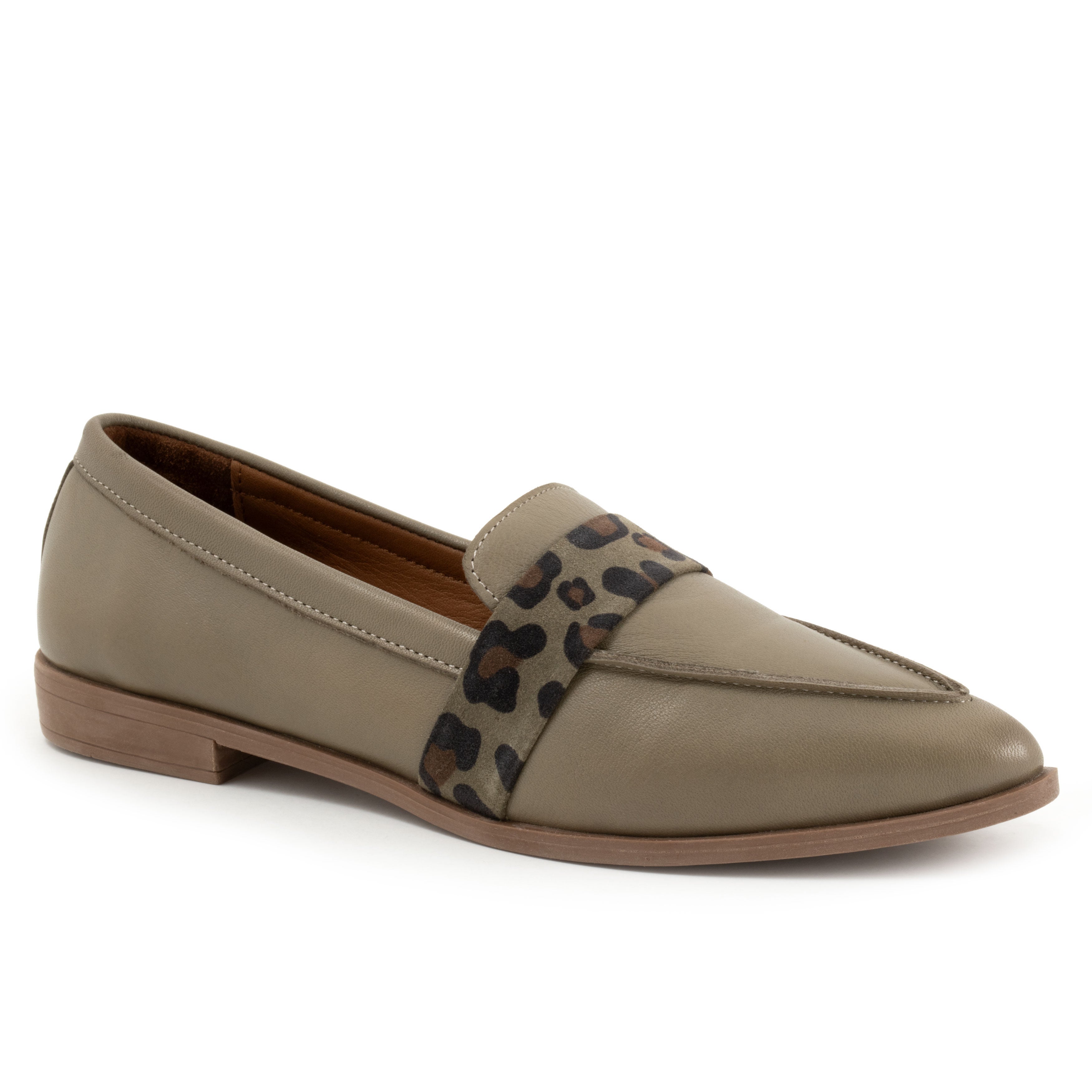 Bristol Flat, SAGE, hi-res image number 0