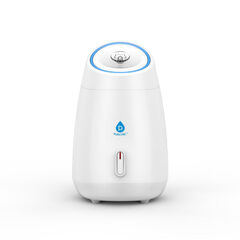 Spa Facial Steamer System