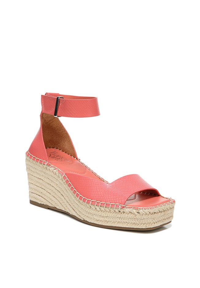 Camera Wedge, CORAL, hi-res image number null