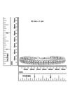 Sterling Silver 2.0 Cttw Diamond Doublelink Tennis Bracelet, , alternate image number null