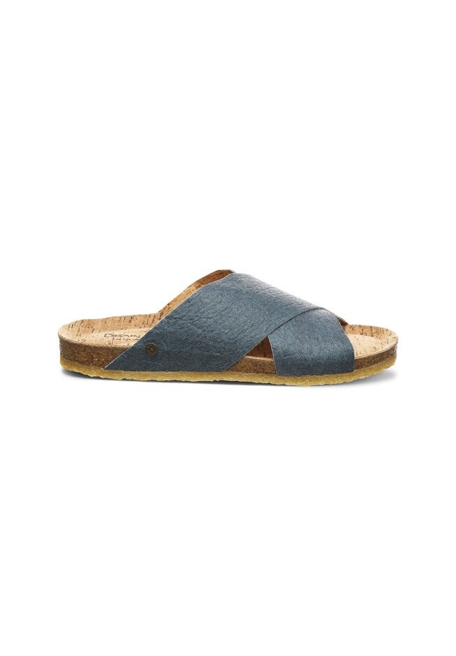 Pina Slides , , alternate image number 3