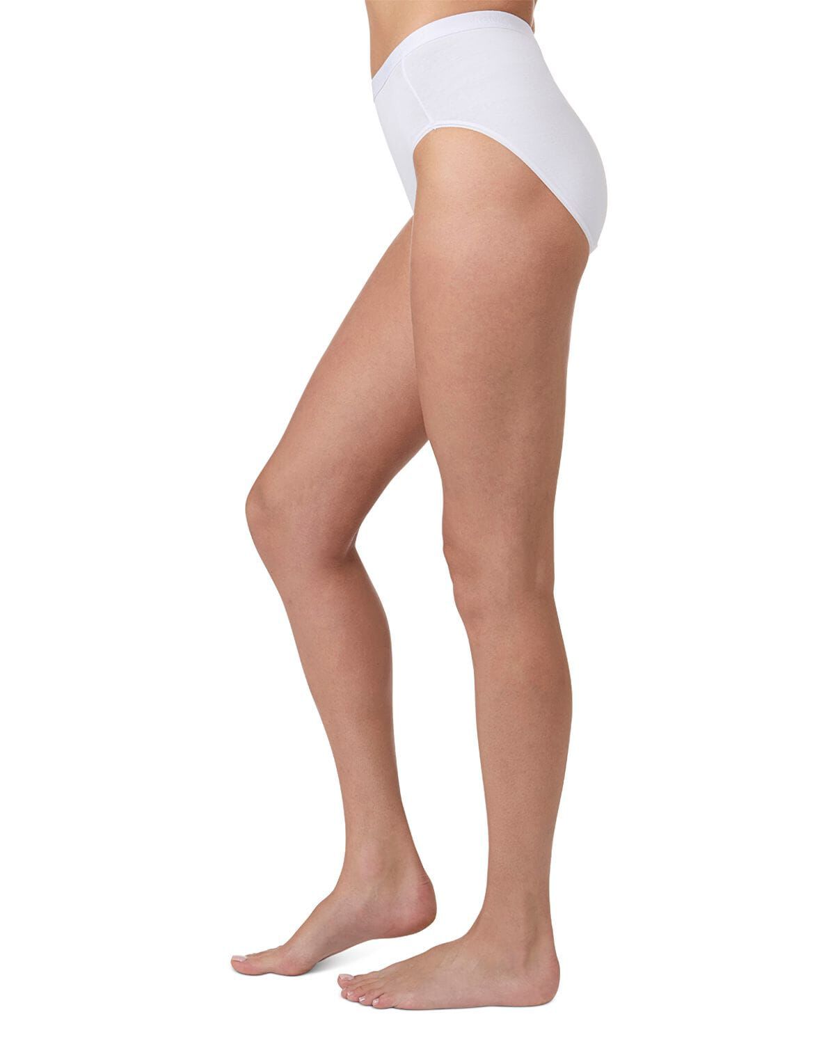 Ladies Combed Cotton Basic Brief Underwear 3-Pack, WHITE, hi-res image number 0