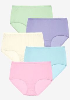 5-Pack Classic Silky Nylon Brief