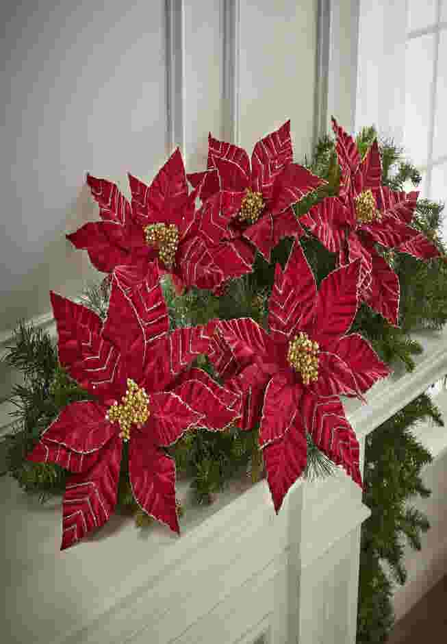 Set of 5 Poinsettia ClipS image number 0