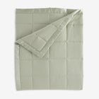 Down-Alternative Blanket image number 0