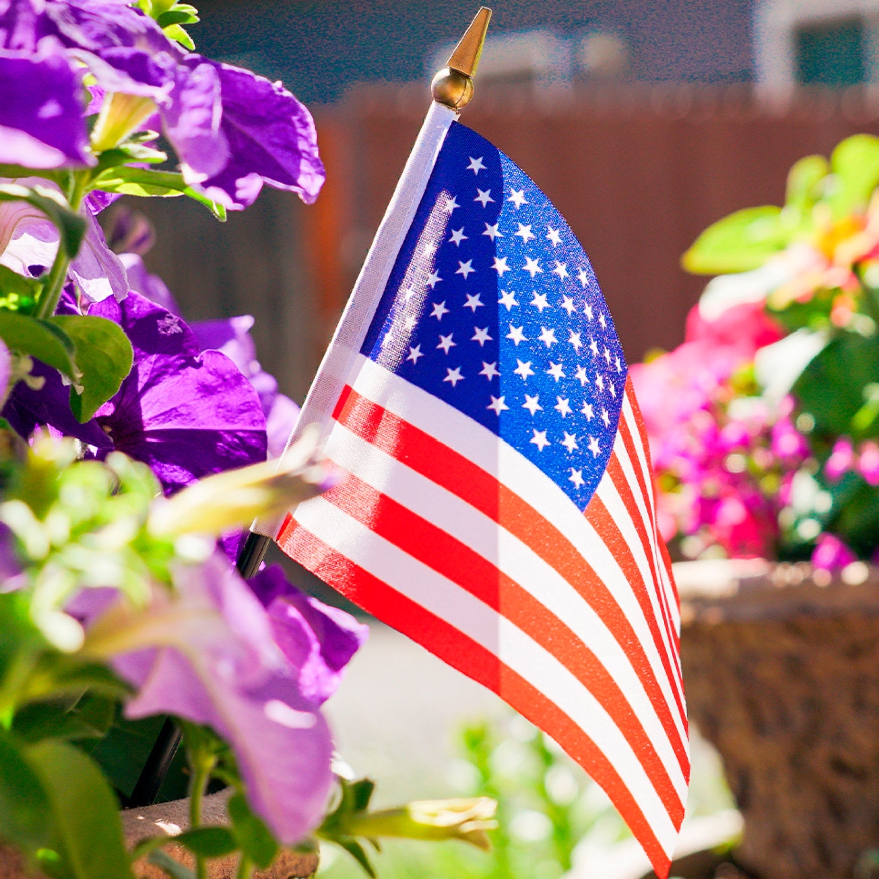 Set of 12 American Flag Sticks image number 0