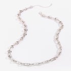 Long Chainlink Necklace image number null