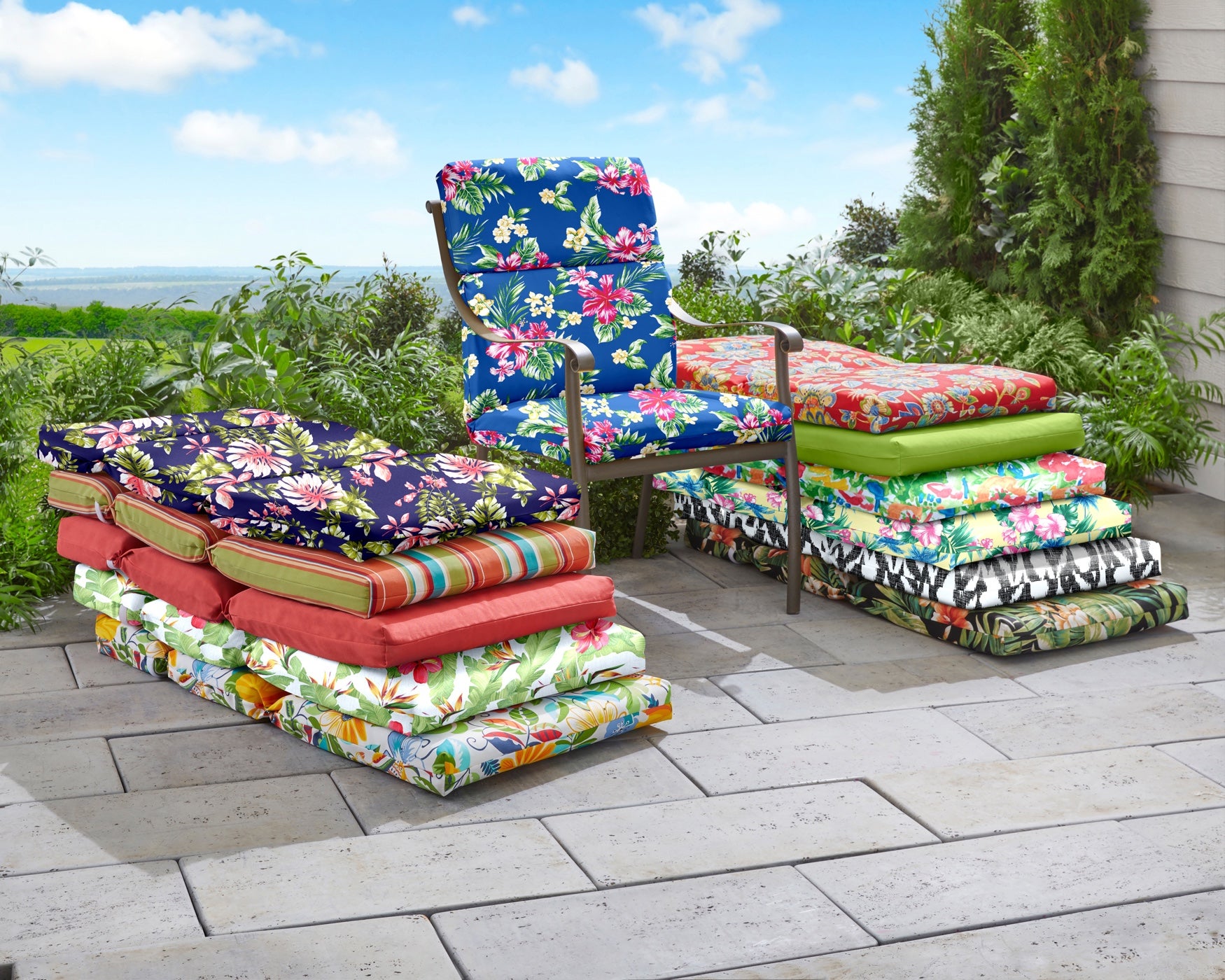 null image number null