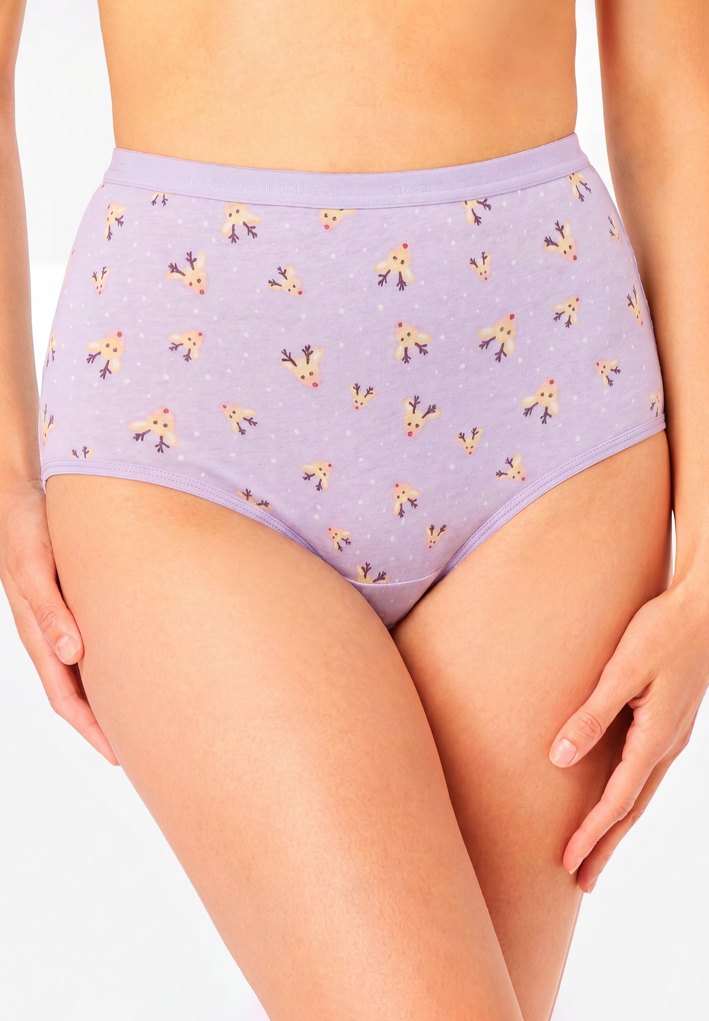 Full Coverage Cotton Brief 10-Pack image number 1