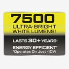 Beyond Bright Tower image number null