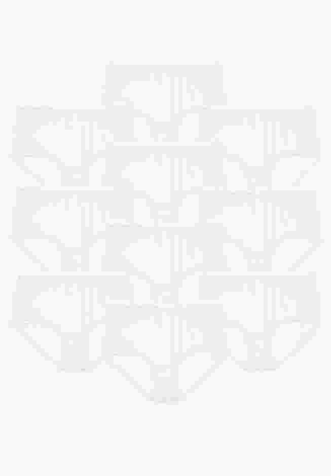 Full Coverage Nylon Brief 10-Pack image number 0