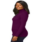 Ribbed Cotton Turtleneck Sweater image number null