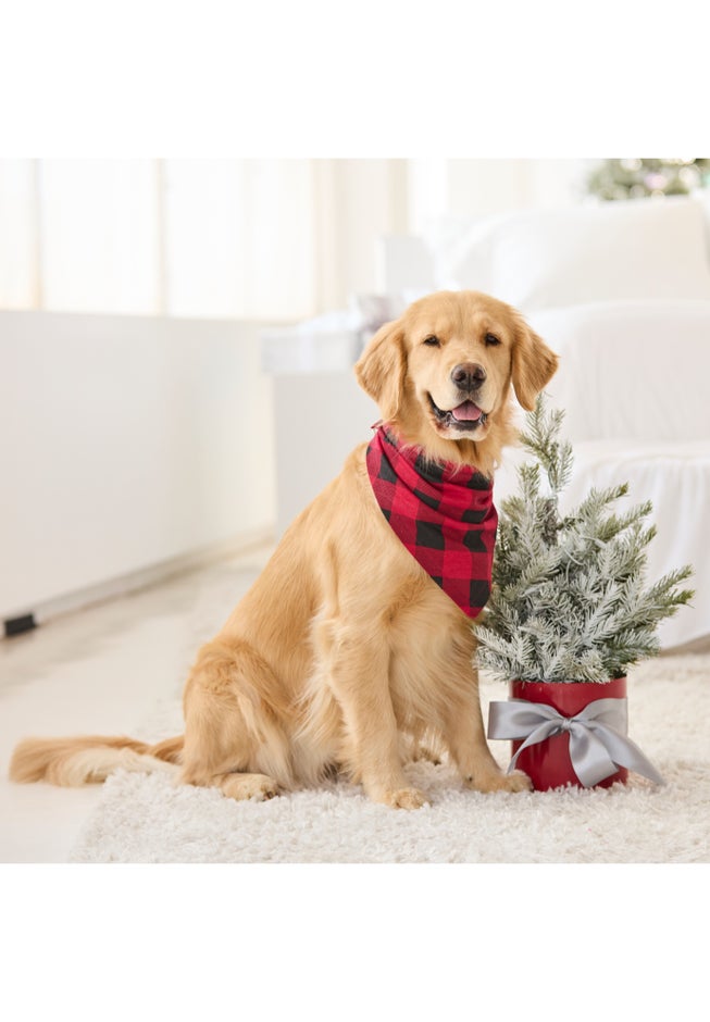 Long Sleeve Knit PJ Set image number 9