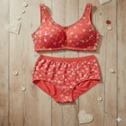 Cotton Back-Close Wireless Bra image number null